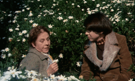 Harold e Maude – Film 1971